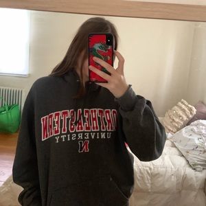 Champion Northeastern Hoodie